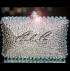 Swarovski Crystal Vintage Champagne Trim Clutch